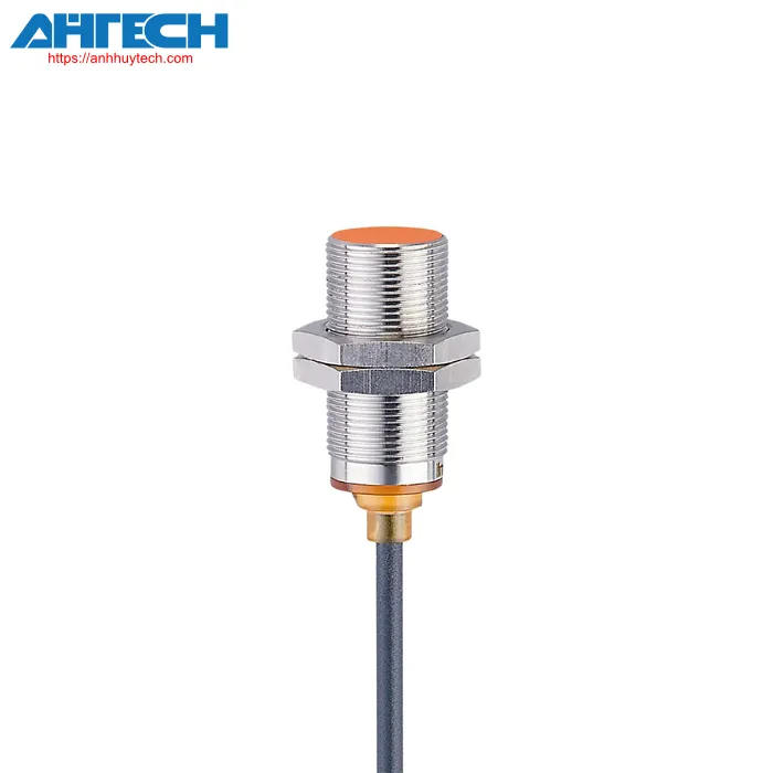 Inductive Sensor Ifm igs250